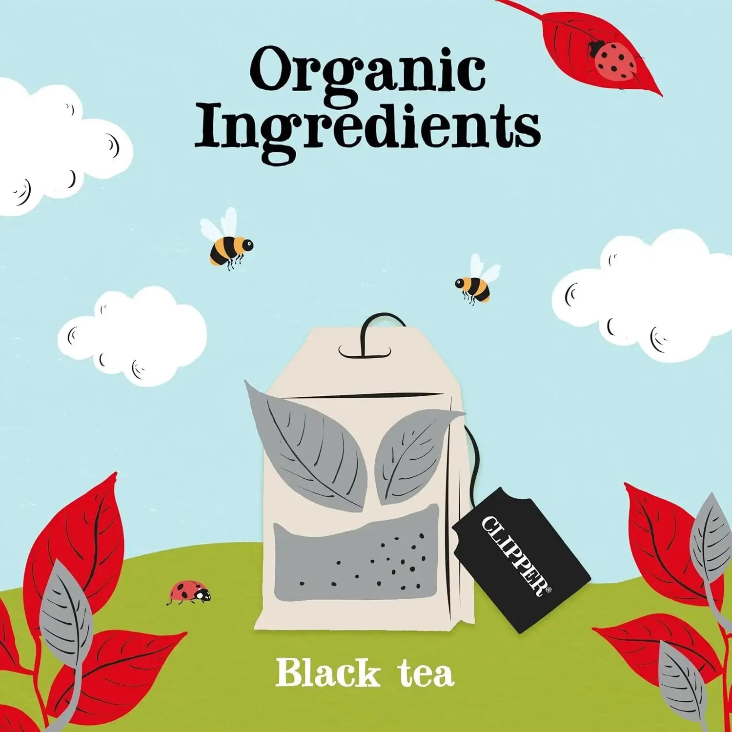 Clipper Organic Fairtrade English Breakfast Tea - 80 Unbleached Bags