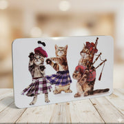 Campbells Shortbread Dancing Fingers Cat Tin 300g