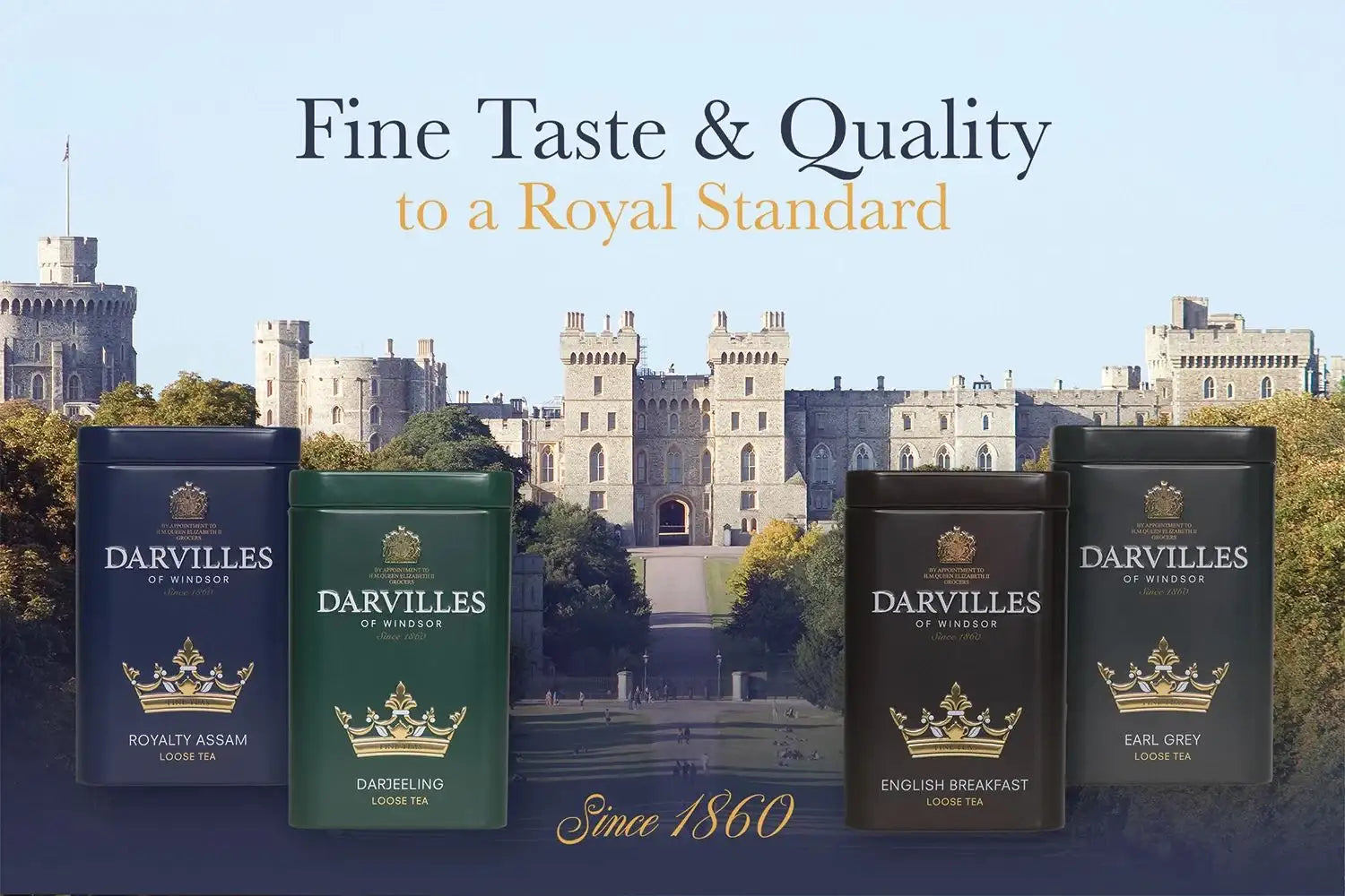 Darvilles Royalty Assam Caddy 100g