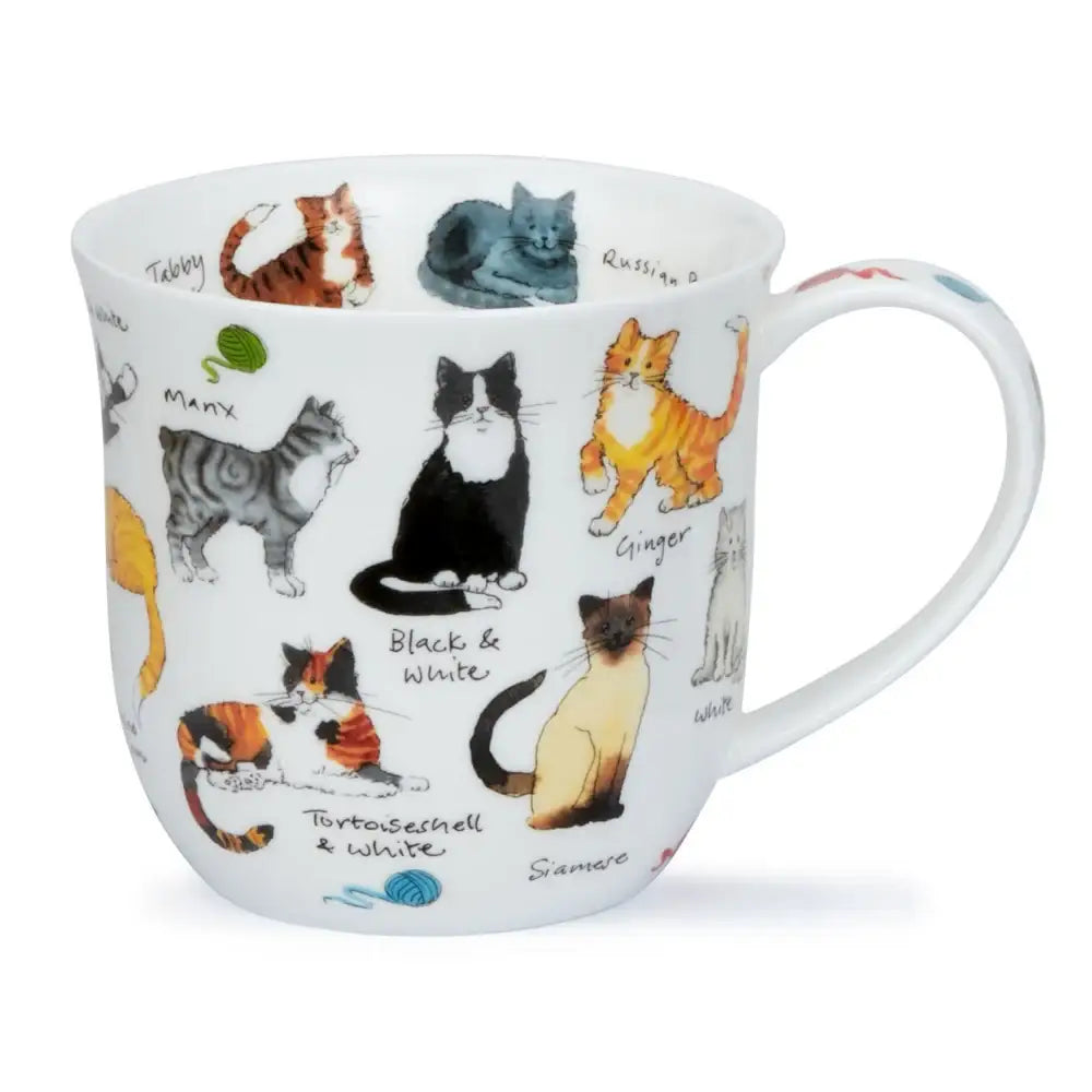 Dunoon Cumbrae Cat Breeds Mug