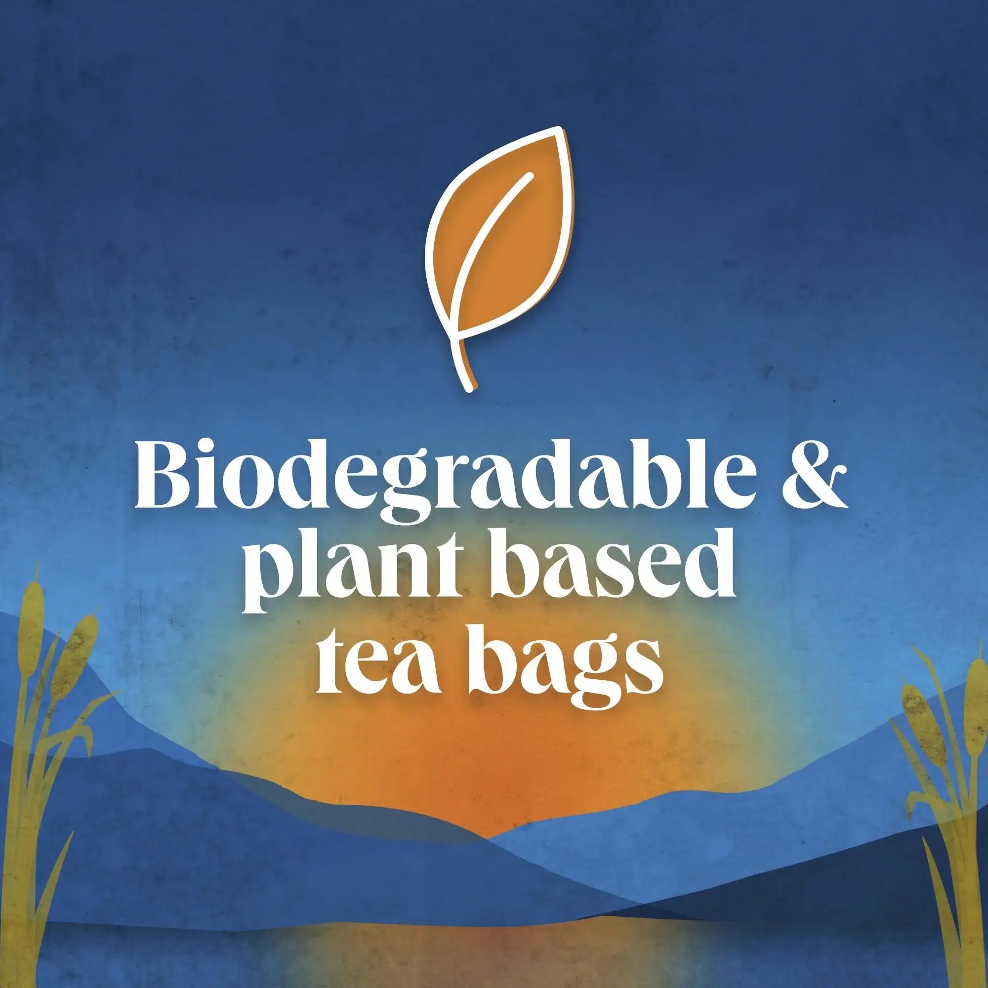 Brooke Bond Scottish Blend 80s